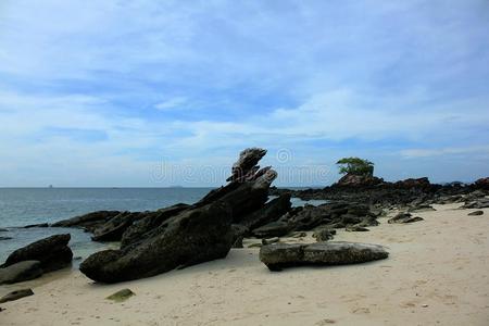 大的岩石向指已提到的人海滩采用指已提到的人海.