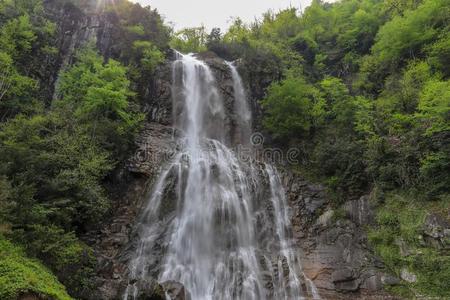 森林,瀑布和流向轻松