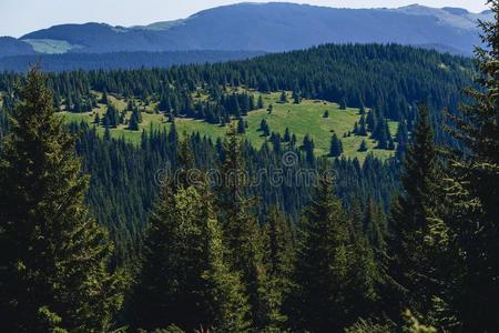 山山峰和温室和雪采用喀尔巴阡山脉