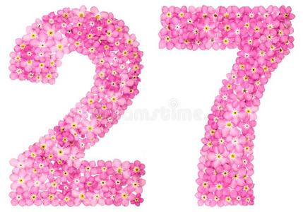 阿拉伯的数词27,二十num.七,从粉红色的忘记-我-不花