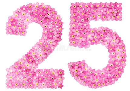阿拉伯的数词25,二十num.五,从粉红色的忘记-我-不花,