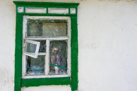 老的蹩脚的窗和绿色的描画的装饰