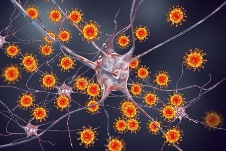 在模糊的疫苗注射病毒的脑炎说明病毒性脑炎喂养宝宝拉丁字母的第7个