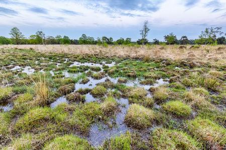 升级的时候图片