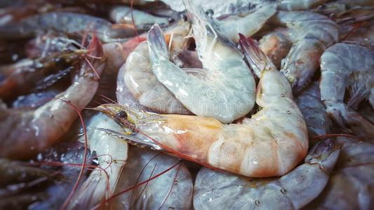 香蕉虾特写镜头香蕉虾为卖采用扇形棕榈细纤维新鲜的交易照片