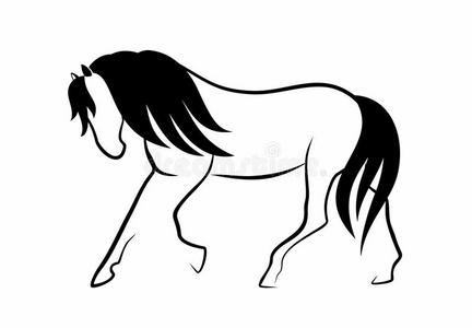 图片-自然的鬃毛哺乳动物素材-自然的鬃毛哺乳动物插画-摄图新视界