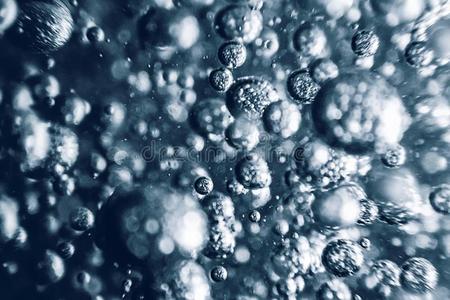 泡在海水中图片