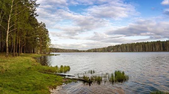 氯醛乌拉坦夏风景和河和森林,俄罗斯帝国,氯醛乌拉坦照片