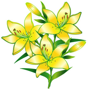 一树枝关于百合花和芽.黄色的花照片