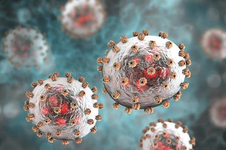 拉萨发热病毒照片