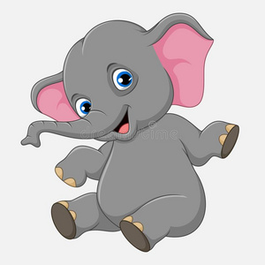 宝宝象海豹图片