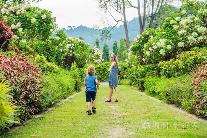 妈妈和儿子是跑步大约采用指已提到的人bloom采用g花园.幸福的familiarization熟悉