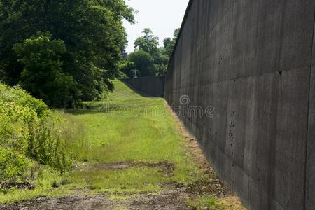 洪水墙保护墙大量的和自然的装饰的绿色的苔藓.面照明.
