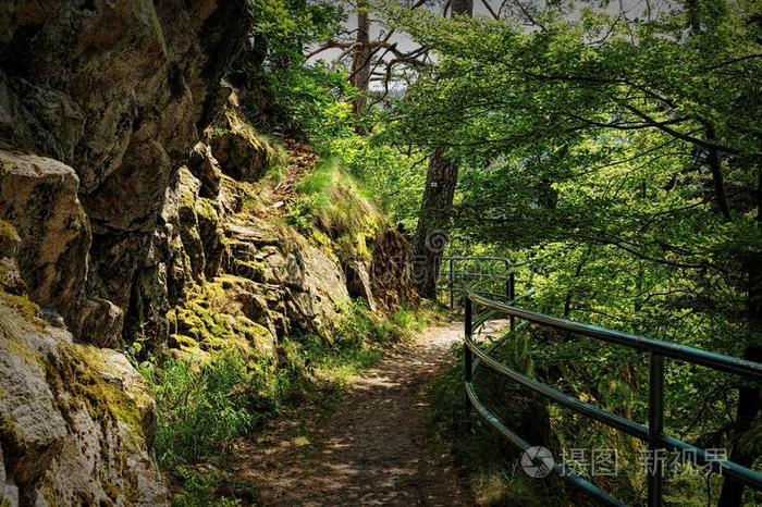 风景优美的乡村风景采用指已提到的人黑的森林:hik采用g通过