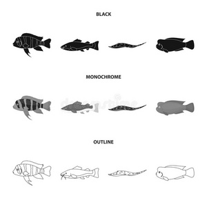 硬骨图片 硬骨素材 硬骨插画 摄图新视界