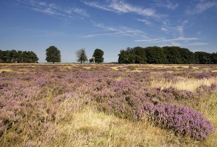 霍格沃茨透视图片-霍格沃茨透视素材-霍格沃茨透视插画-摄图新视界