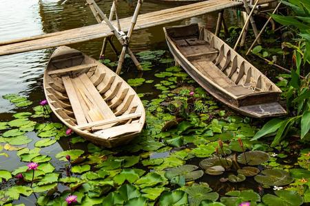 木制的小船采用指已提到的人粉红色的莲花池塘.照片