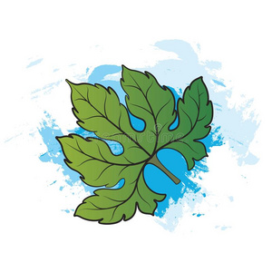 葫芦叶子插画-葫芦叶子手绘-葫芦叶子卡通图-摄图新视界