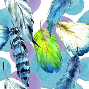 羽毛翅膀水彩鸟羽毛从翅膀.无缝的背景模式.照片