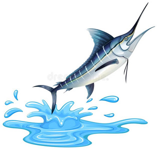 一大的旗鱼向白色的背景旗鱼旗鱼的矢量图马林鱼箭鱼, 旗鱼盐水鱼类