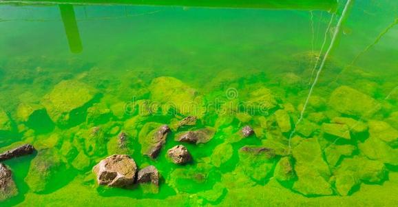 临海的海海域是描画的和绿色的颜料.生态的民意调查照片