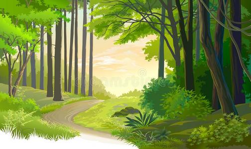 森林小路图片