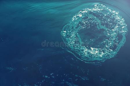 泡在海水中图片