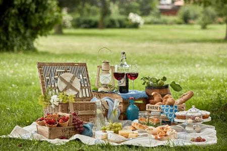 新鲜国家美味的农场新鲜的国家野餐郊游照片