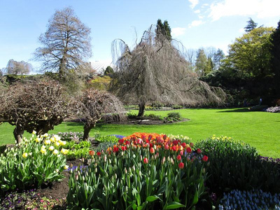 新鲜的花园花和风景关于女王伊丽莎白公园花园,照片