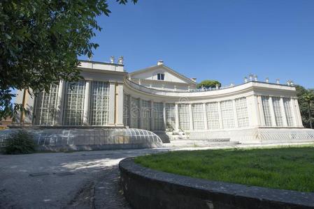 罗马,别墅托洛尼亚-卡西纳小凹果子狸照片