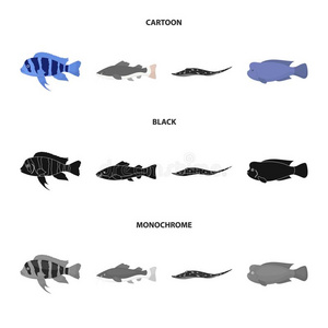 萨巴鱼插画 萨巴鱼手绘 萨巴鱼卡通图 摄图新视界