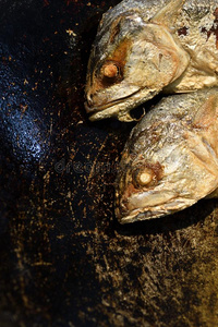 宏指令上端关于喝醉了的金枪鱼鱼采用一p一n.照片