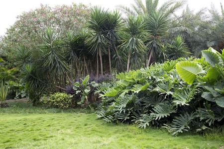 城市公园草地图片