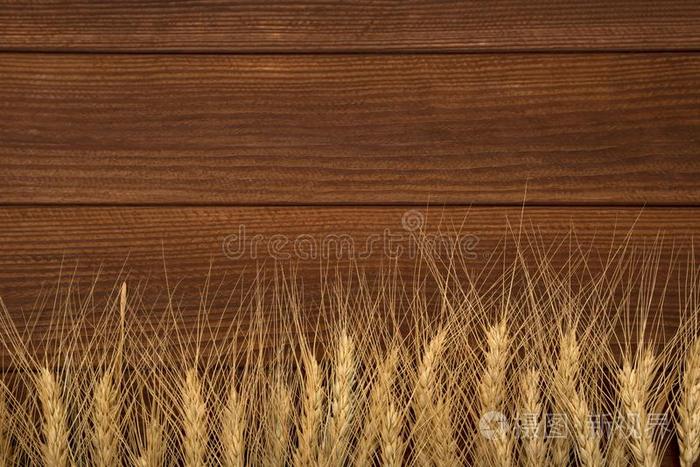 小穗关于小麦向木制的表背景.小麦向木制的英语字母表的第2个字母