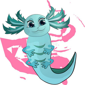 绿松石微笑的蝾螈照片