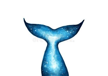轮廓关于鲸尾,鱼尾和星系水彩埃菲克照片