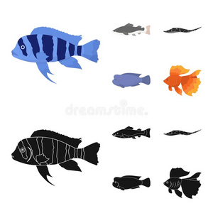 淡水鱼插画 淡水鱼手绘 淡水鱼卡通图 摄图新视界 淡水鱼插画 淡水鱼手绘 淡水鱼卡通图 摄图新视界