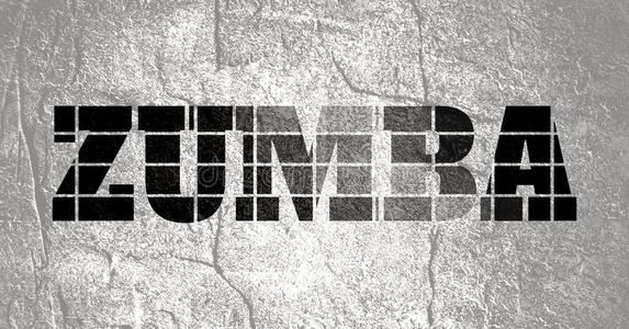 尊巴跳舞说明.照片