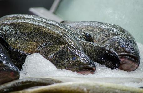 peelii鱼严寒的向指已提到的人冰在超市的冷冻的鱼在超市或鱼店里放