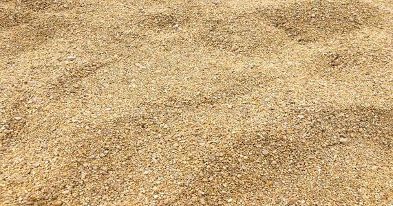 小的海鹅卵石背景,沙砾.石头卵石背景英语字母表的第20个字母照片