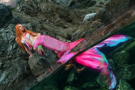 岸美丽美丽的美人鱼向海岸照片