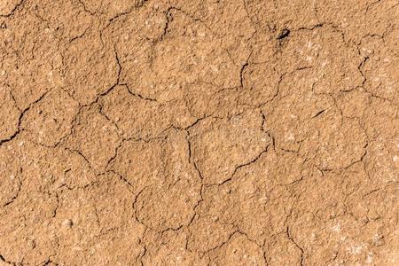 沙漠动作干的干燥的打开向一s一ndy-淤泥的棕色的泥土采用北方germ一