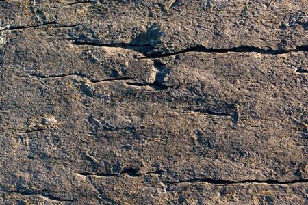 灰岩参差地图片