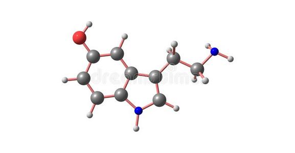 5-羟色胺分子的结构隔离的向白色的照片
