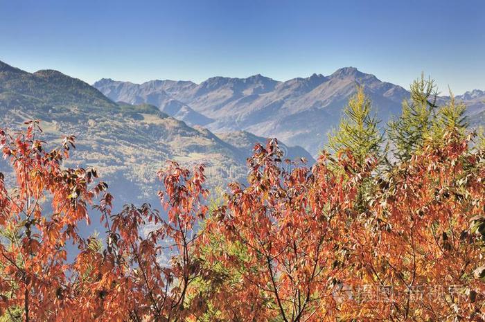 红色的植物的叶子采用前面关于mounta采用