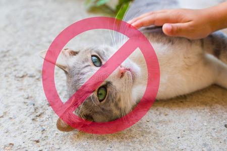 禁止符号为抚摸动物照片