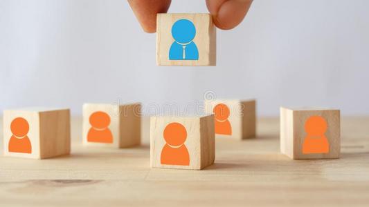 手的主意手放,挑选或挑选指已提到的人num.