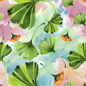 银杏花插画 银杏花手绘 银杏花卡通图 摄图新视界