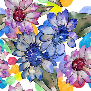 水彩富有色彩的非洲的雏菊花.花的植物学的流动照片