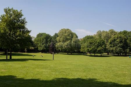 干净天空花园背景图片-干净天空花园背景素材-干净天空花园背景插画